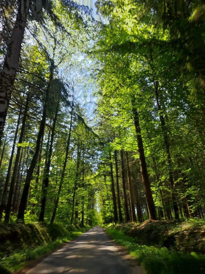 Gite Les Tongs Des Pres, Au Coeur Du Parc Normandie Maine Livaie Exteriör bild